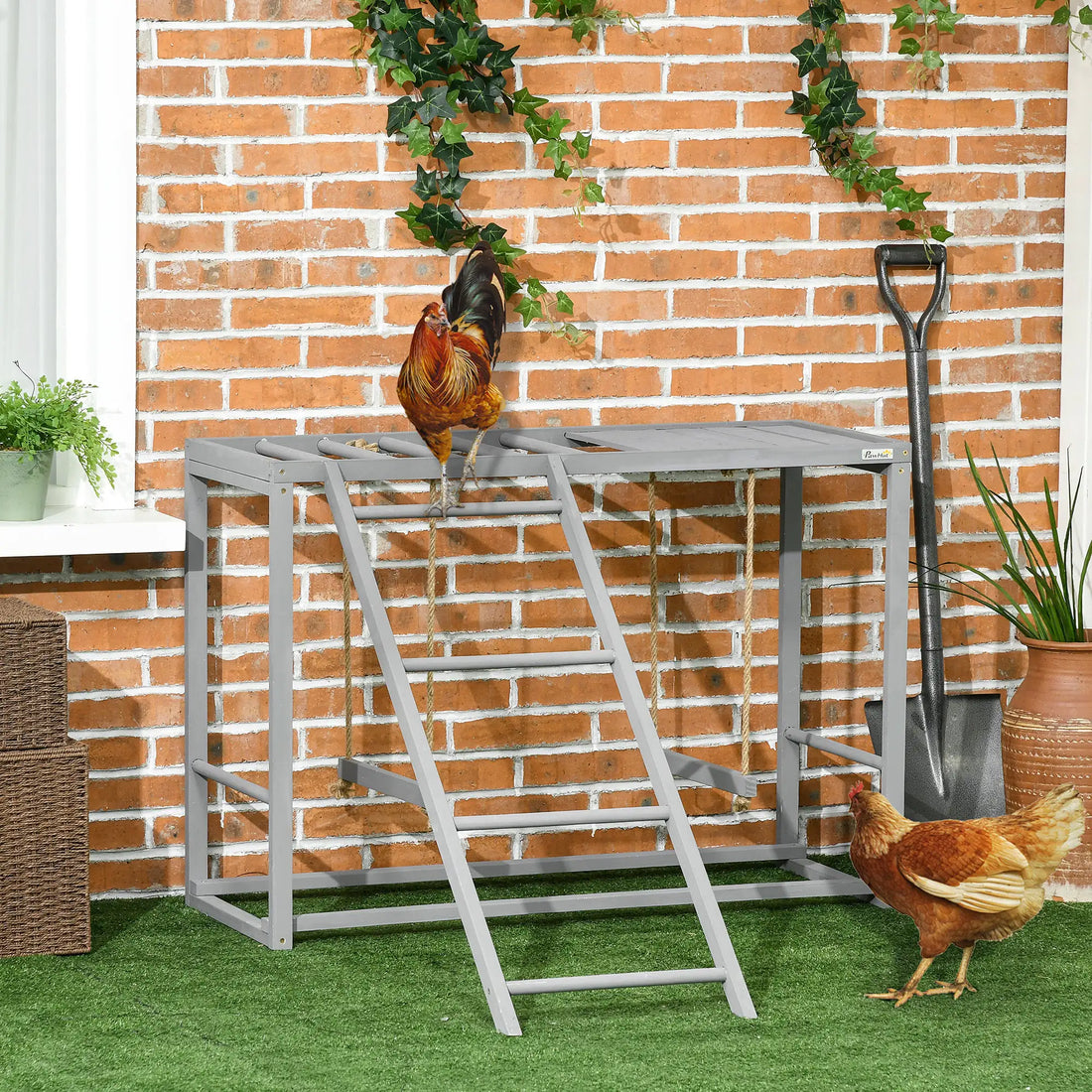 Chicken Swing &amp; Activity Set – Wooden Coop Accessory with Perches, Ladder &amp; Play Area for 3–4 Hens