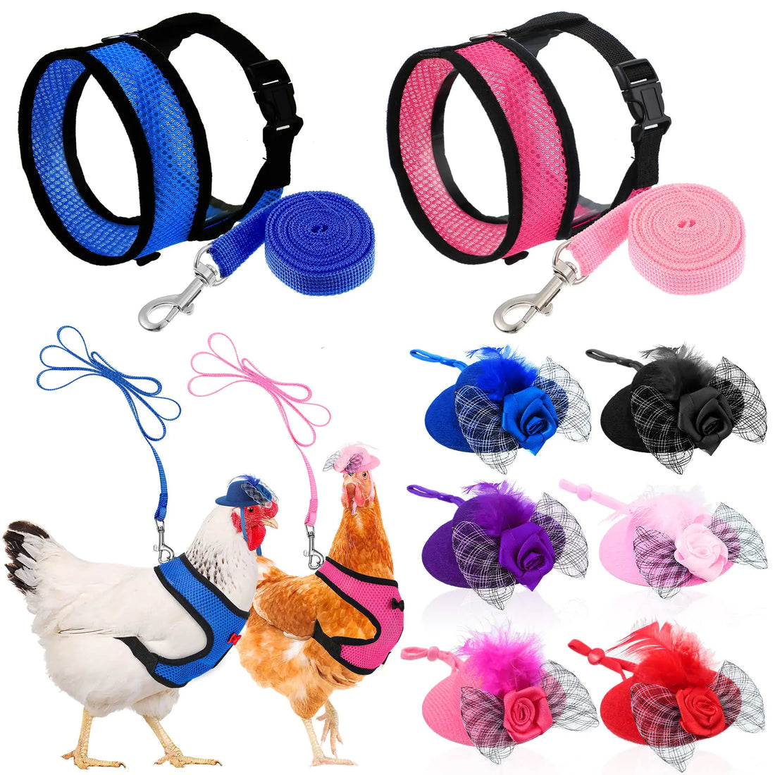 Chicken Harness &amp; Leash Set