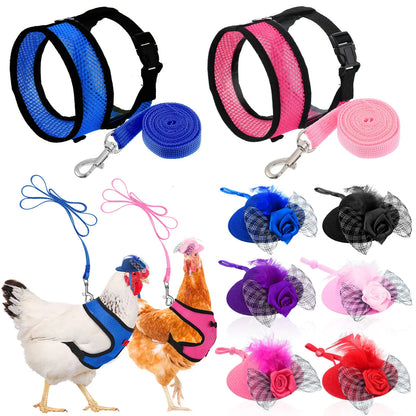Chicken Harness &amp; Leash Set